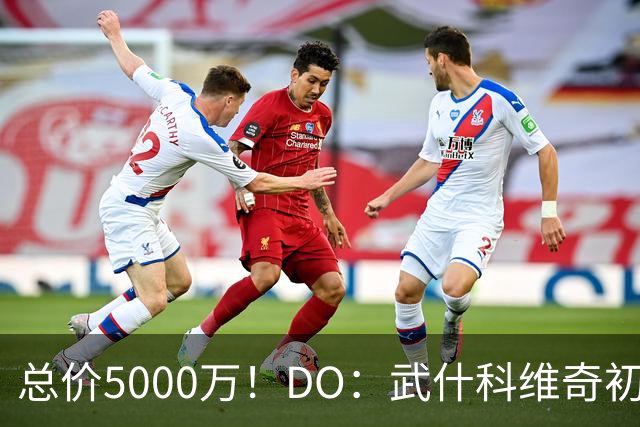 总价5000万！DO：武什科维奇初始转会费4600万镑，热刺有二转分成